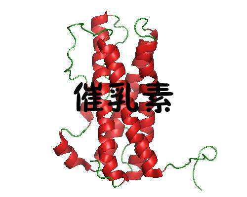 国内哪里可以做供卵试管的,2026武汉协和医院试管婴儿成功率高吗?高龄做试管有多高