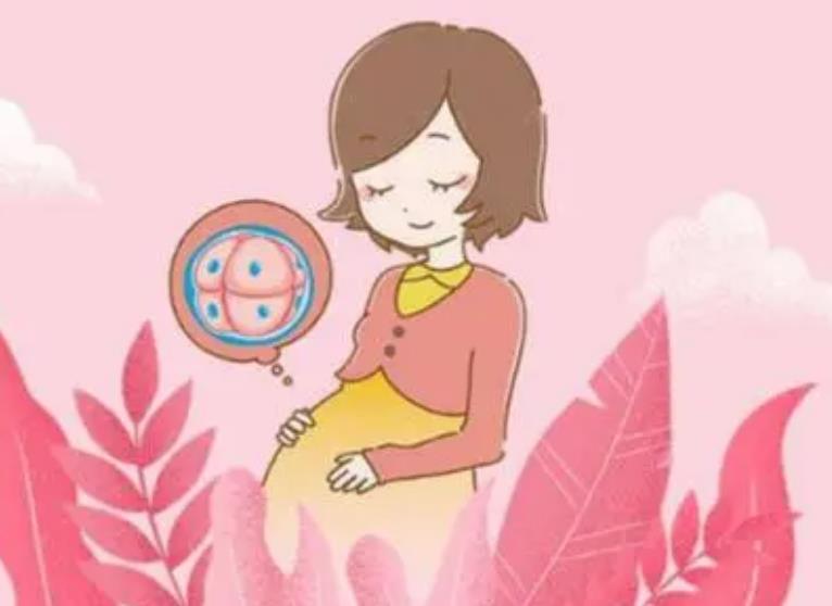 泰国试管婴儿移植后饮食禁忌与营养指南